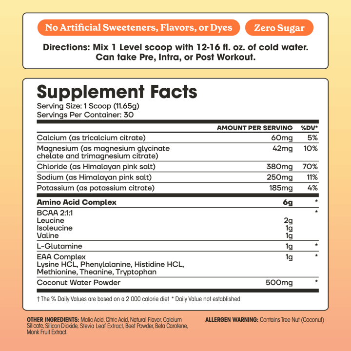 Fit & Lean: Amino Hydration (363g)